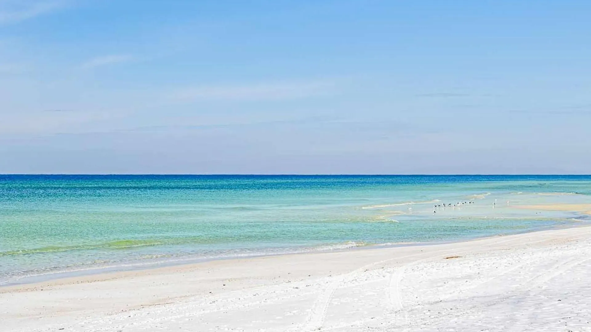 Holiday home Calypso 3-1206 - The Taag Resort Panama City Beach